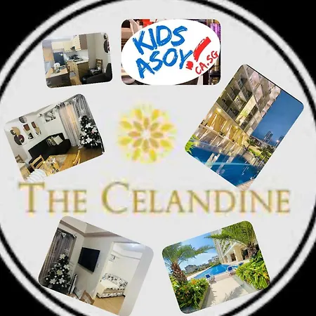 Kids Asoy At Dmci The Celandine